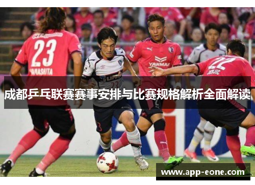 成都乒乓联赛赛事安排与比赛规格解析全面解读