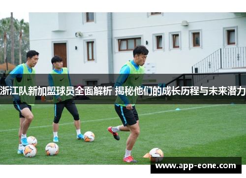 浙江队新加盟球员全面解析 揭秘他们的成长历程与未来潜力
