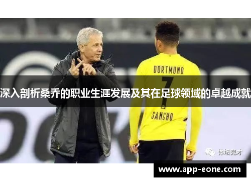 深入剖析桑乔的职业生涯发展及其在足球领域的卓越成就 深入剖析桑乔的职业生涯发展及其在足球领域的卓越成就