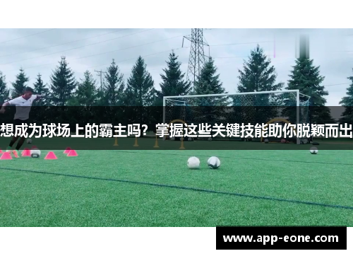 想成为球场上的霸主吗?掌握这些关键技能助你脱颖而出 想成为球场上的霸主吗?掌握这些关键技能助你脱颖而出