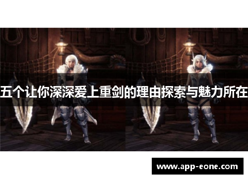 五个让你深深爱上重剑的理由探索与魅力所在