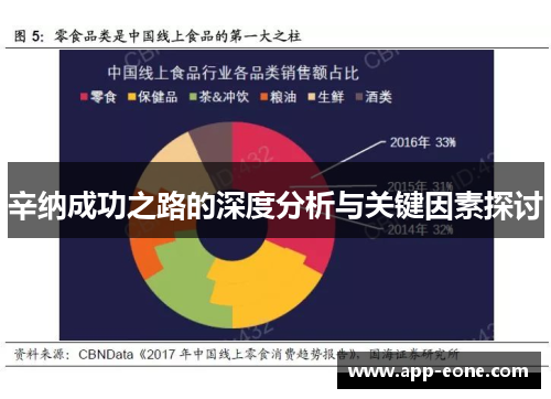 辛纳成功之路的深度分析与关键因素探讨 辛纳成功之路的深度分析与关键因素探讨