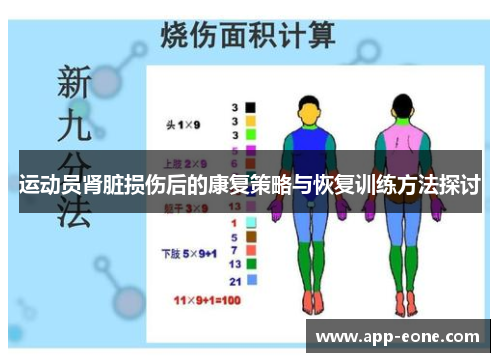 运动员肾脏损伤后的康复策略与恢复训练方法探讨 运动员肾脏损伤后的康复策略与恢复训练方法探讨
