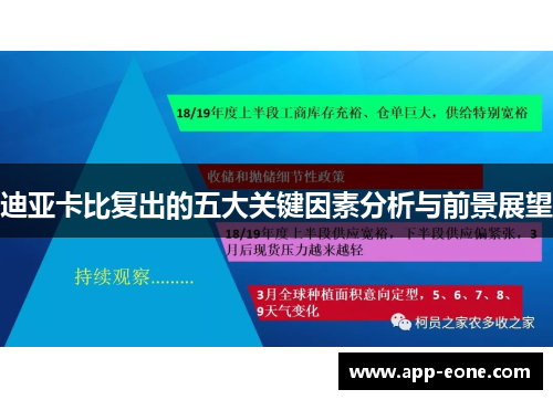 迪亚卡比复出的五大关键因素分析与前景展望 迪亚卡比复出的五大关键因素分析与前景展望