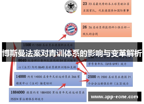 博斯曼法案对青训体系的影响与变革解析 博斯曼法案对青训体系的影响与变革解析