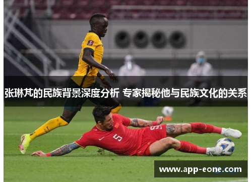 张琳芃的民族背景深度分析 专家揭秘他与民族文化的关系