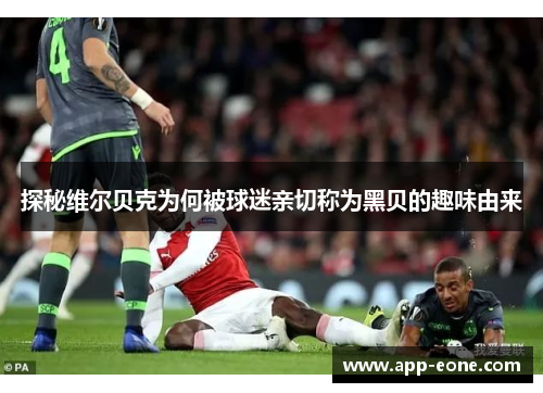 探秘维尔贝克为何被球迷亲切称为黑贝的趣味由来