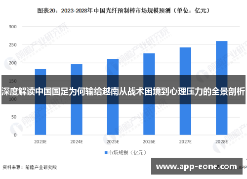 深度解读中国国足为何输给越南从战术困境到心理压力的全景剖析